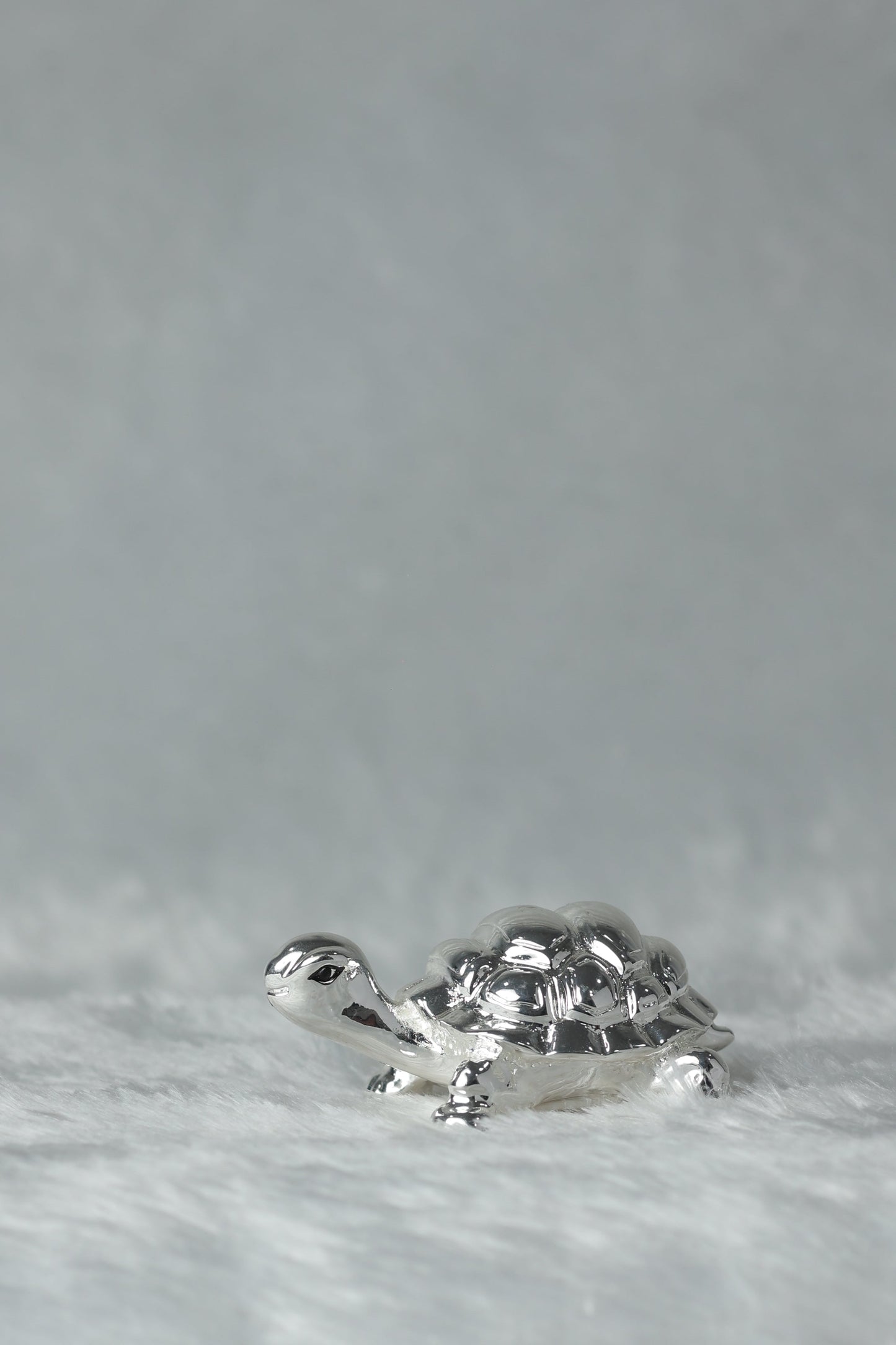 28 Silver Plated Tortoise