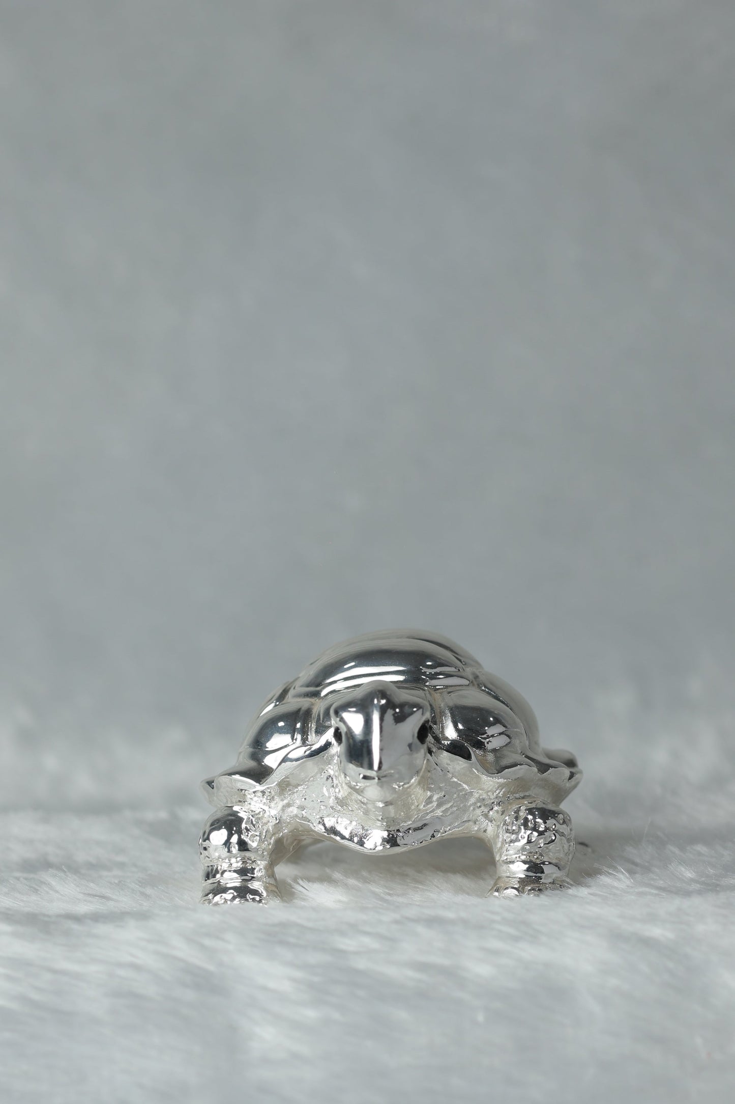 29 Big Silver plated Tortoise